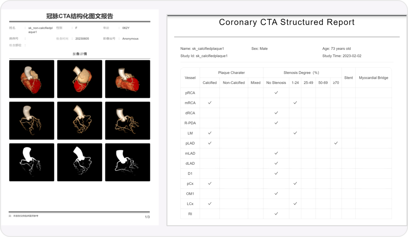 CCD_StructuredReport01.png